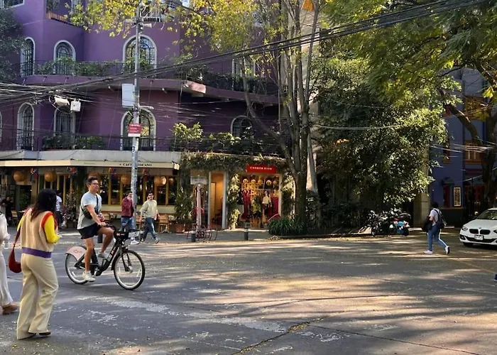 Condesa Amsterdam 203 Shiny 1bed 1bath On Amsterdam Av Mexico