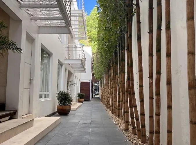 Condesa Amsterdam 203 Shiny 1bed 1bath On Amsterdam Av * México DF